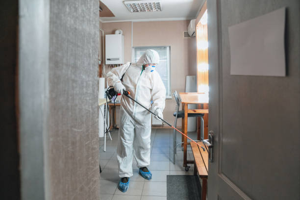 Best Water Damage & Mold Remediation  in San Benito, TX