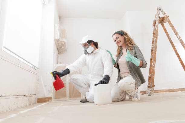 Professional Mold Removal in San Benito, TX