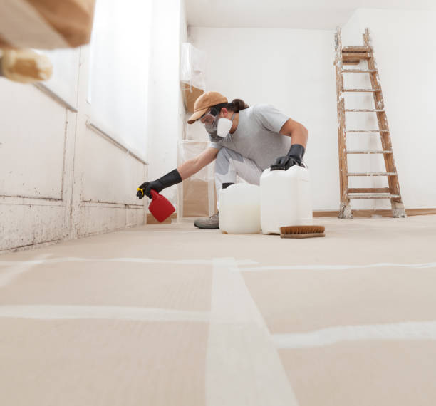Best Emergency Mold Remediation  in San Benito, TX